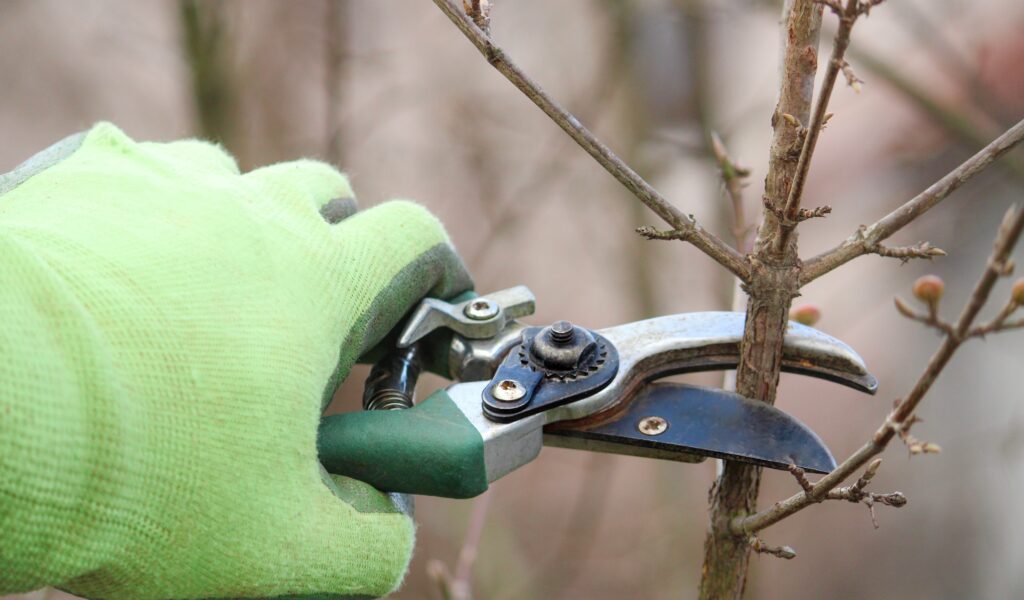 Trimming the runaway state